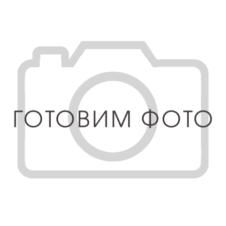 4099000019 Патрон воздушного фильтра